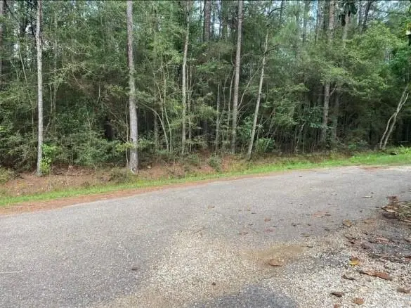 0 Henderson Road, Covington, LA 70433 - Image #1