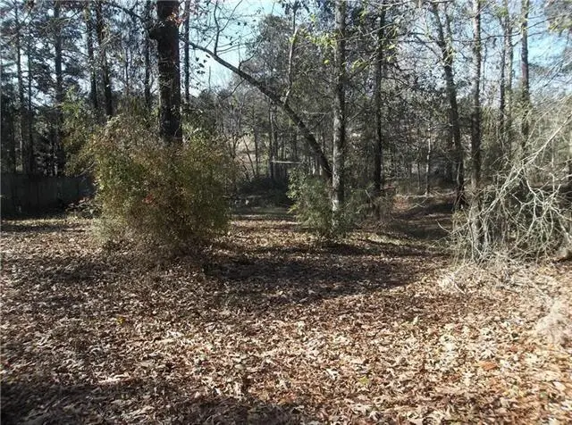 Lot 1 - 0 Stilley Road, Pineville, LA 71360 - Image #2