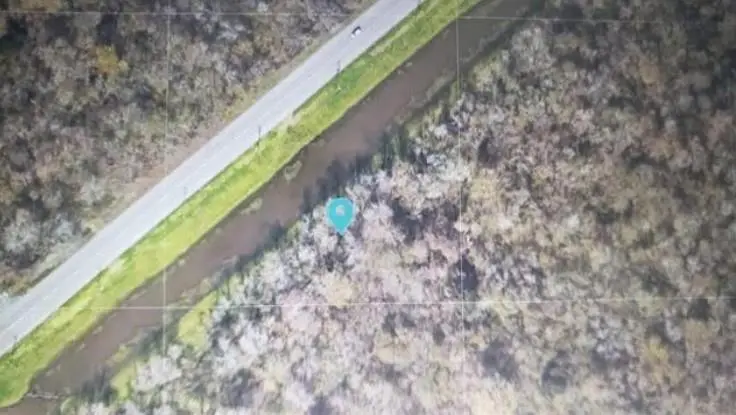 1629001 Taylor Street, New Orleans, LA 70131 - #1