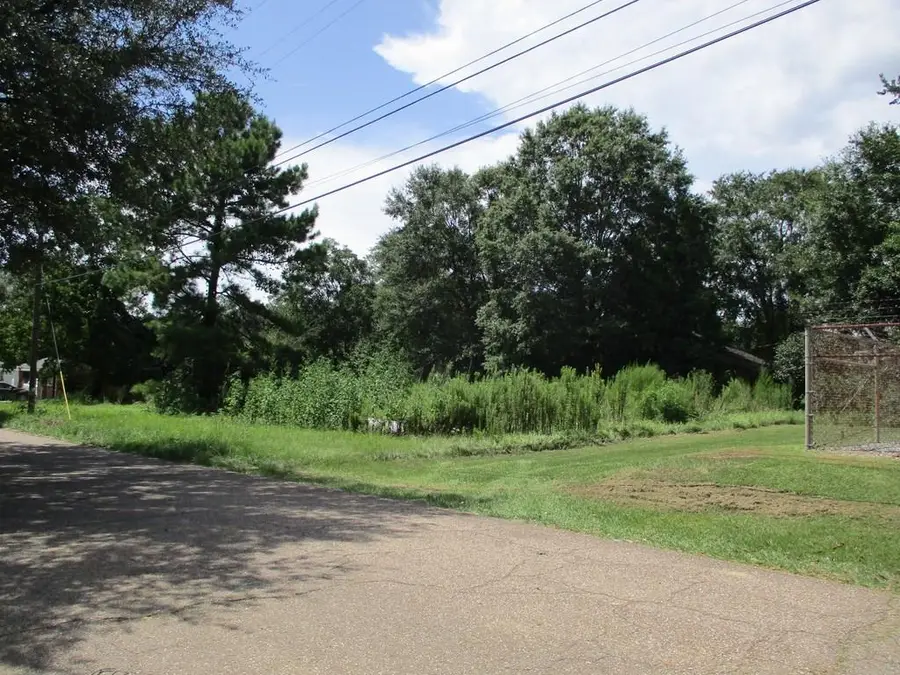 Main Street, Franklinton, LA 70438 - Image #2
