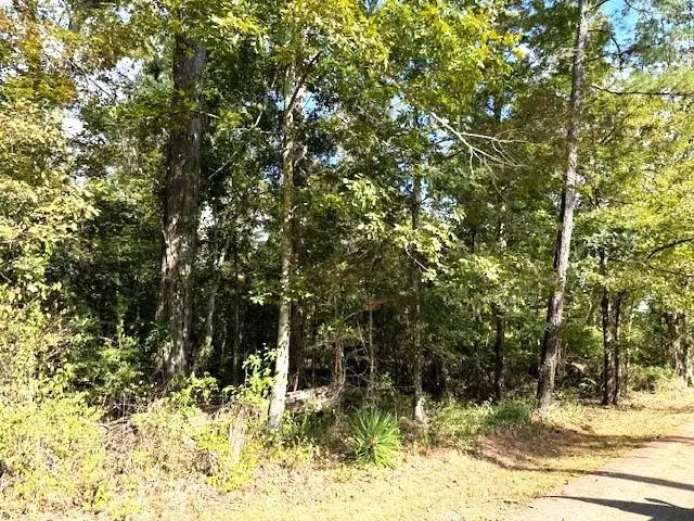 551 Colbert Street, Mandeville, LA 70448 - Image #2