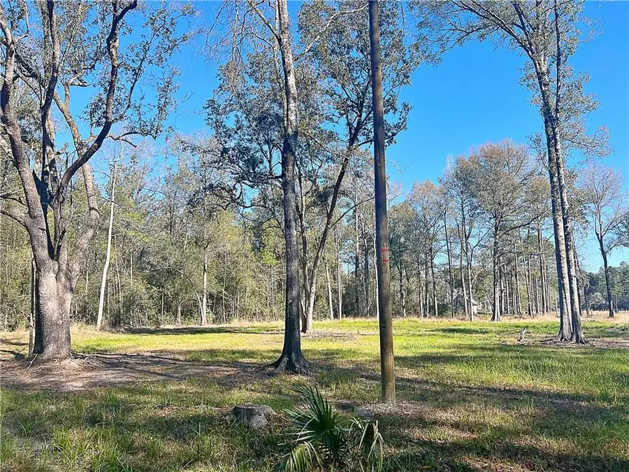 47250 Monticello Drive, Hammond, LA 70403 - #2
