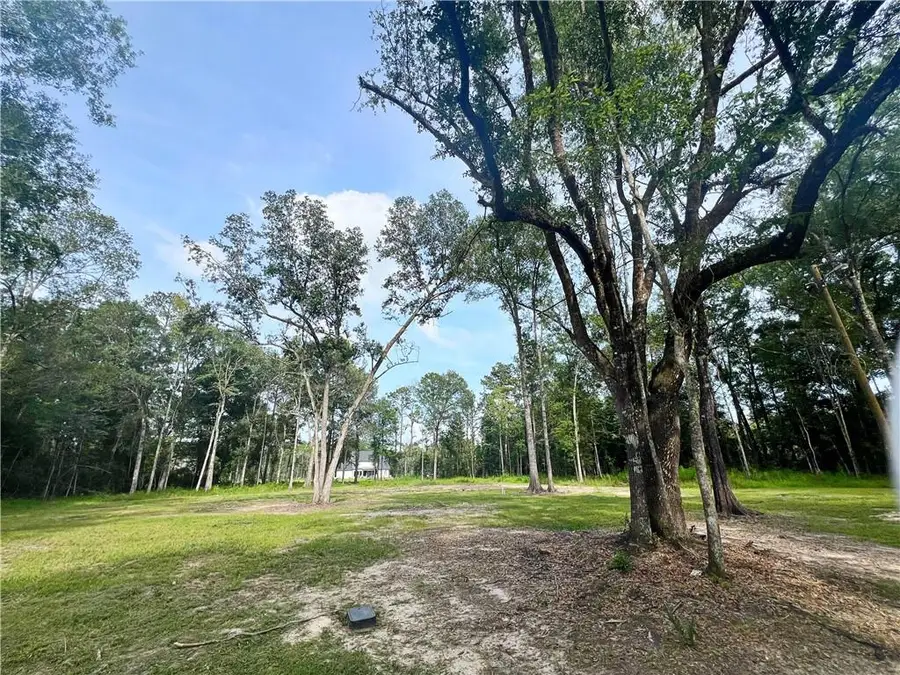 47250 Monticello Drive, Hammond, LA 70403 - #3