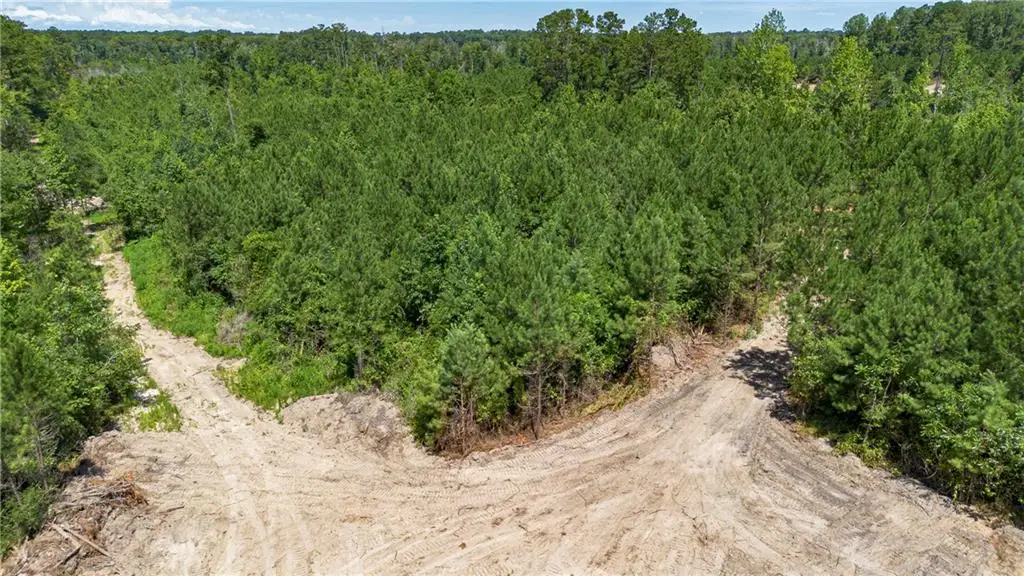 Lot B Ten Mile Road, Pitkin, LA 70656 - Image #1