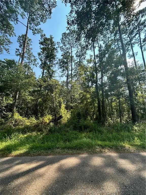 2678 Lucille Drive, Lacombe, LA 70445 - Image #2