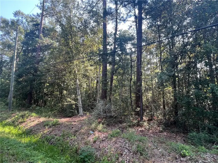 Sauer Drive, Waveland, MS 39576 - Image #3