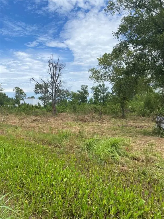 770 Mckeithen Drive, Alexandria, LA 71303 - Image #2