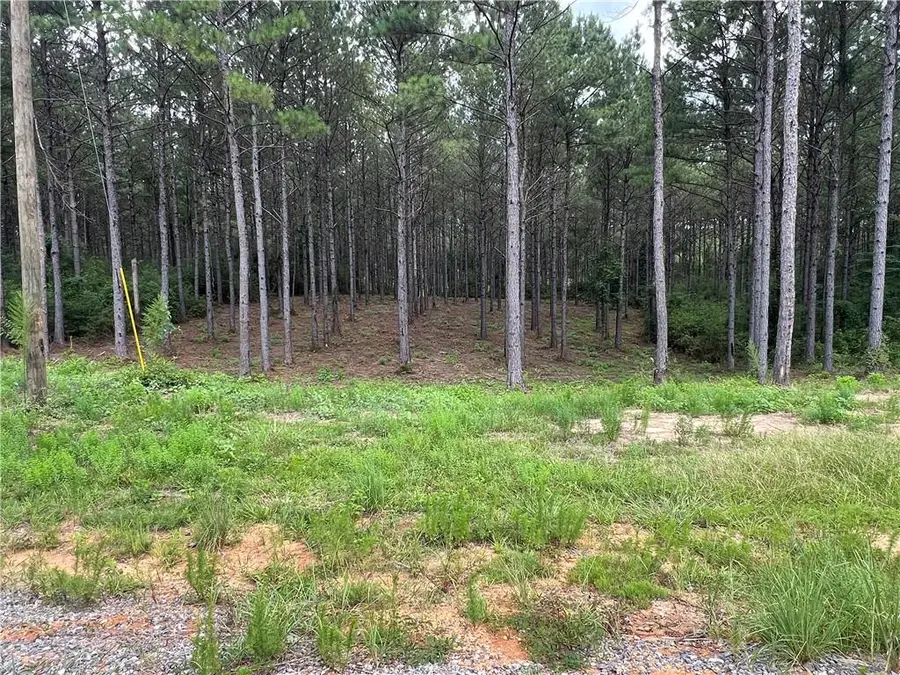 Lot 33 Lauren Lane, Franklinton, LA 70438 - Image #3