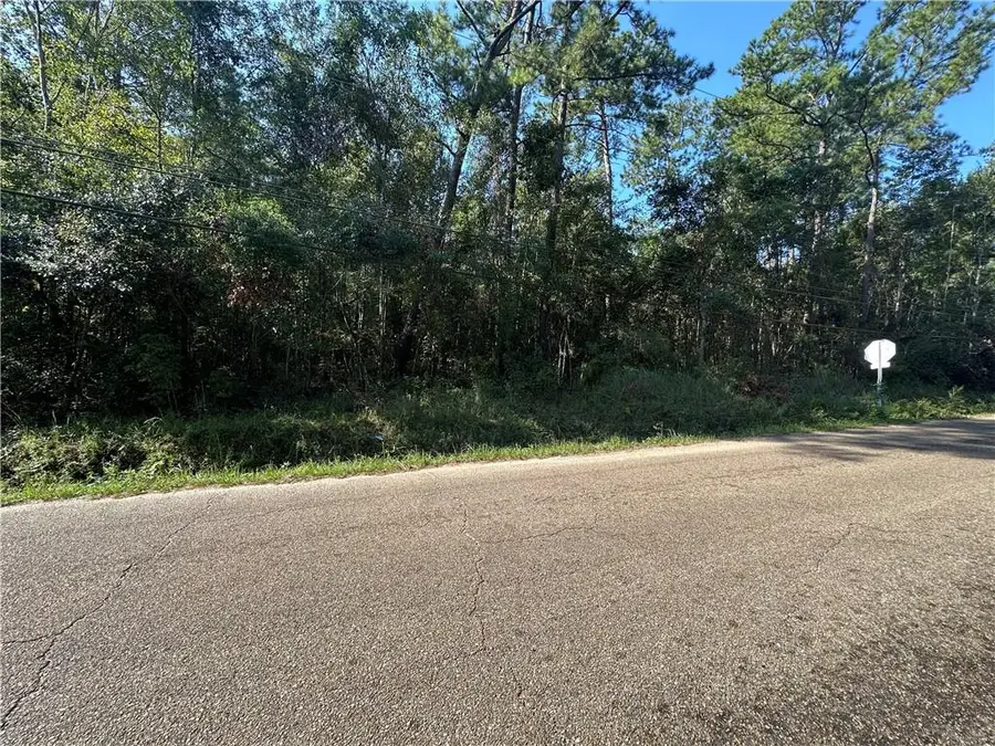 LOTS 2-4, 15-18 N 3rd Avenue, Slidell, LA 70458 - #3