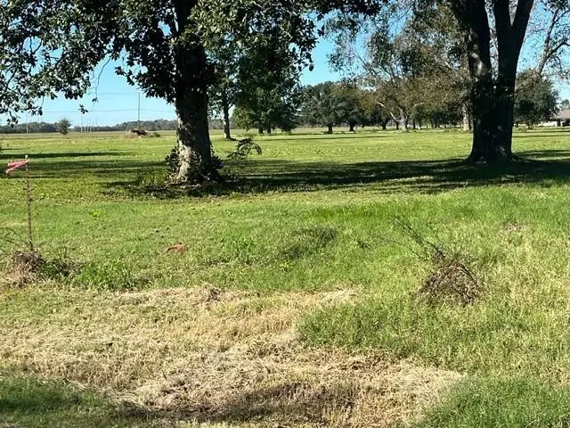 0 N Bayou Rapides Road, Alexandria, LA 71303 - #2
