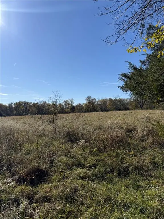 410 Goux Farm Road, Marksville, LA 71351 - Image #2