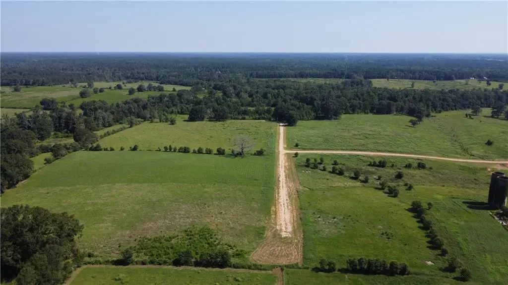 Lot E-3 Core Place, Amite, LA 70422 - Image #1