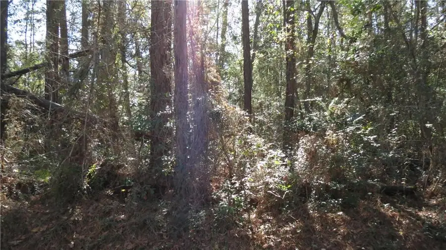 E Main Street, Lacombe, LA 70445 - Image #3