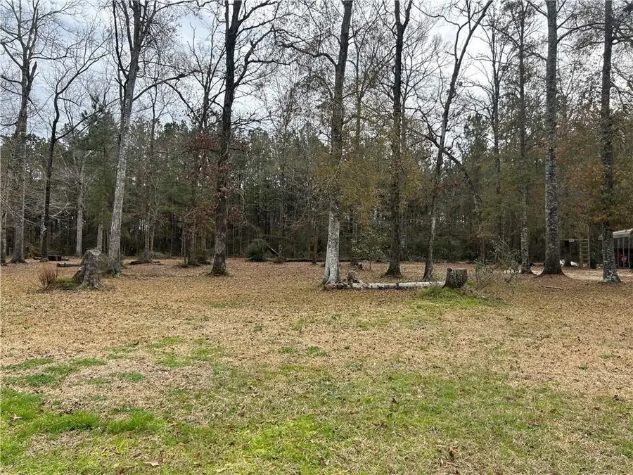 27720 Ivy Springs Drive, Independence, LA 70443 - Image #3