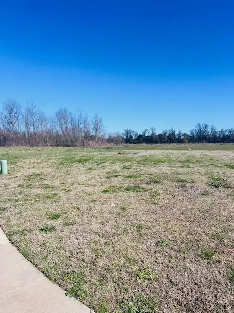 1336 Bonaire Trace, Alexandria, LA 71303 - #1