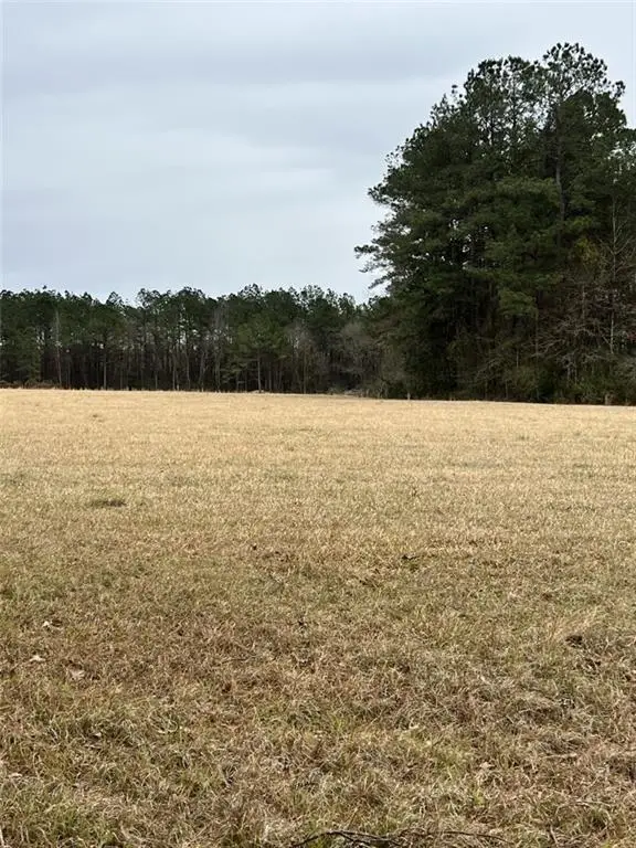 744 Paradise Road, Ball, LA 71405 - Image #1