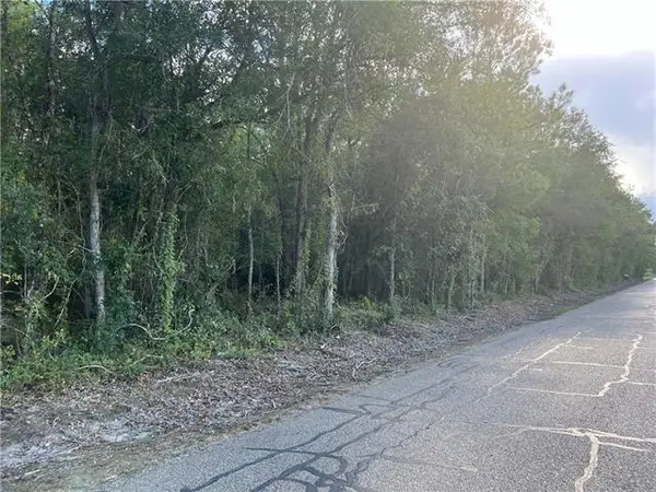 TBD Hutchinson Cemetary Road, Albany, LA 70711