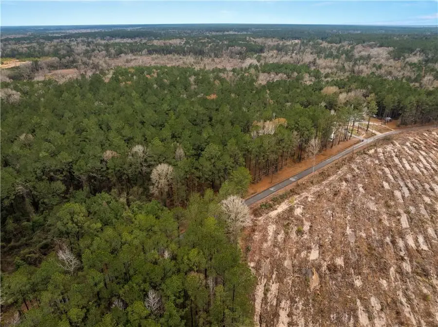 TBD-11 acres Tatoo Road, Glenmora, LA 71433 - Image #3