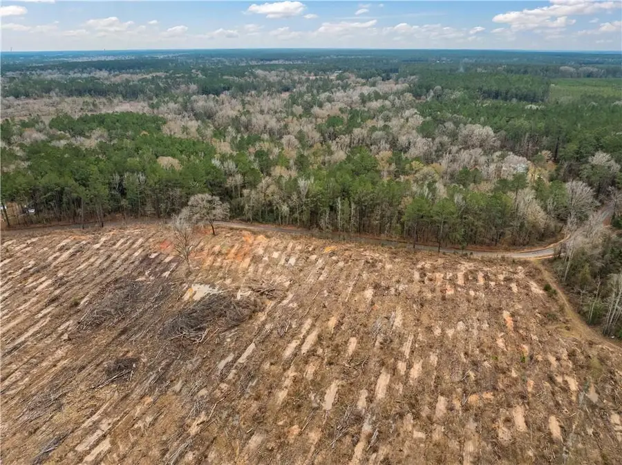 TBD 25 acres Tatoo Road, Glenmora, LA 71433 - Image #3