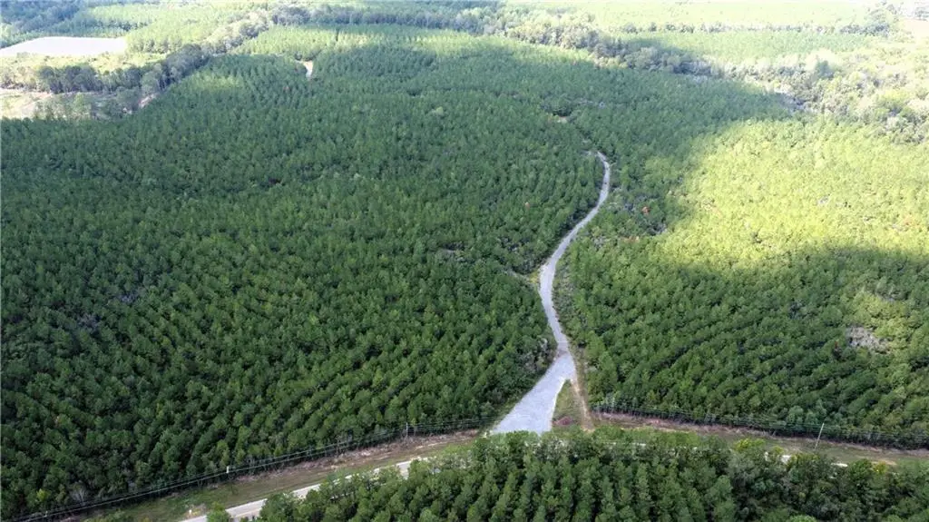 177 Acres Hwy 450 Highway, Franklinton, LA 70438 - Image #1