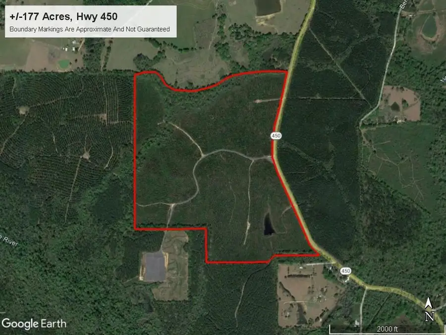 177 Acres Hwy 450 Highway, Franklinton, LA 70438 - Image #3