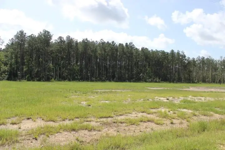 24755 B-1 442 Highway, Independence, LA 70443 - Image #1