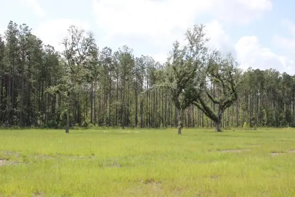 29658 Billy Joe Road, Independence, LA 70443