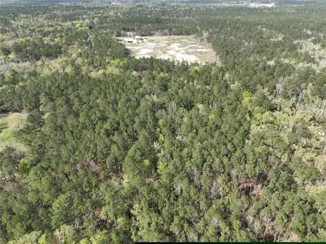 10 Acres Vacant Land Raiford Road, Ponchatoula, LA 70454 - Image #2