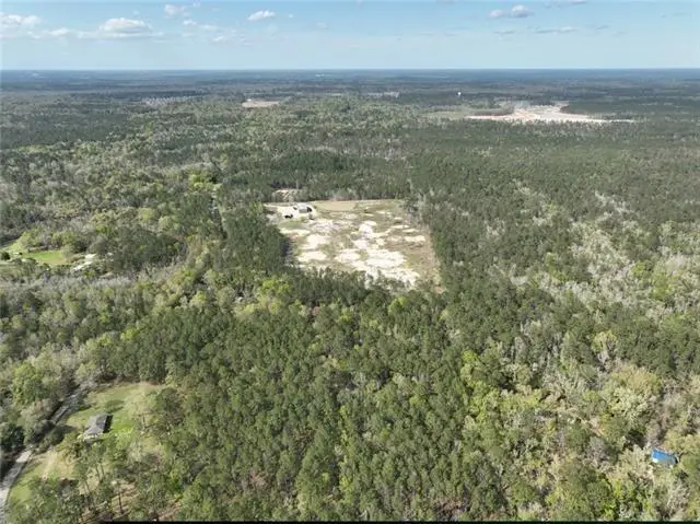 10 Acres Vacant Land Raiford Road, Ponchatoula, LA 70454 - Image #3