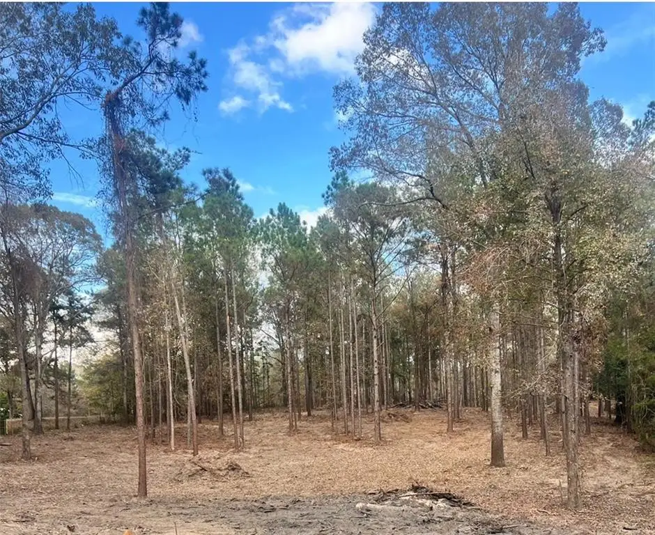 0 Hoyt Road, Boyce, LA 71409 - Image #1