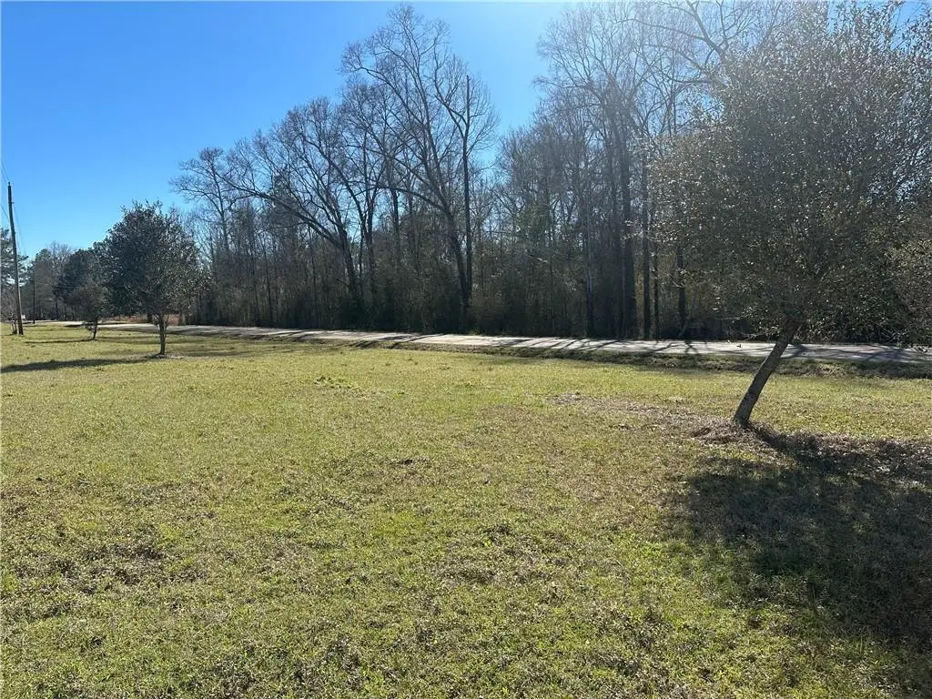 TBD John D Wood Road, Franklinton, LA 70438 - Image #1