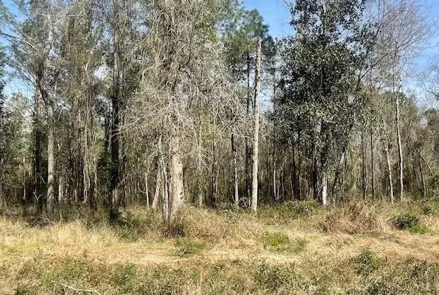 Lot 306 D 190 Highway, Lacombe, LA 70445 - Image #1