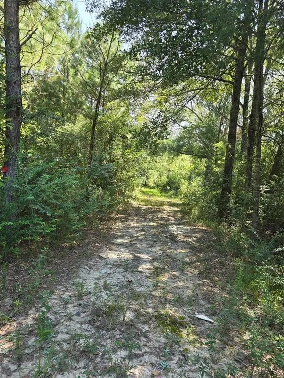 Weinberger Road, Ponchatoula, LA 70454 - Image #3