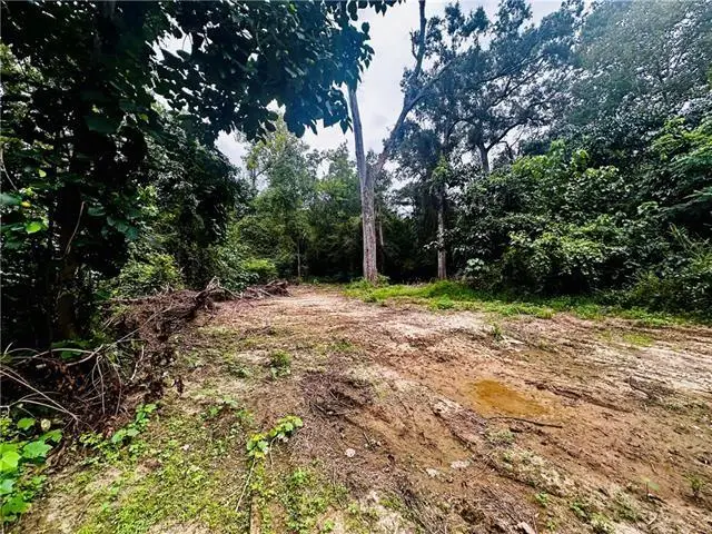 Parcel #1 16 Highway, Franklinton, LA 70438 - Image #1