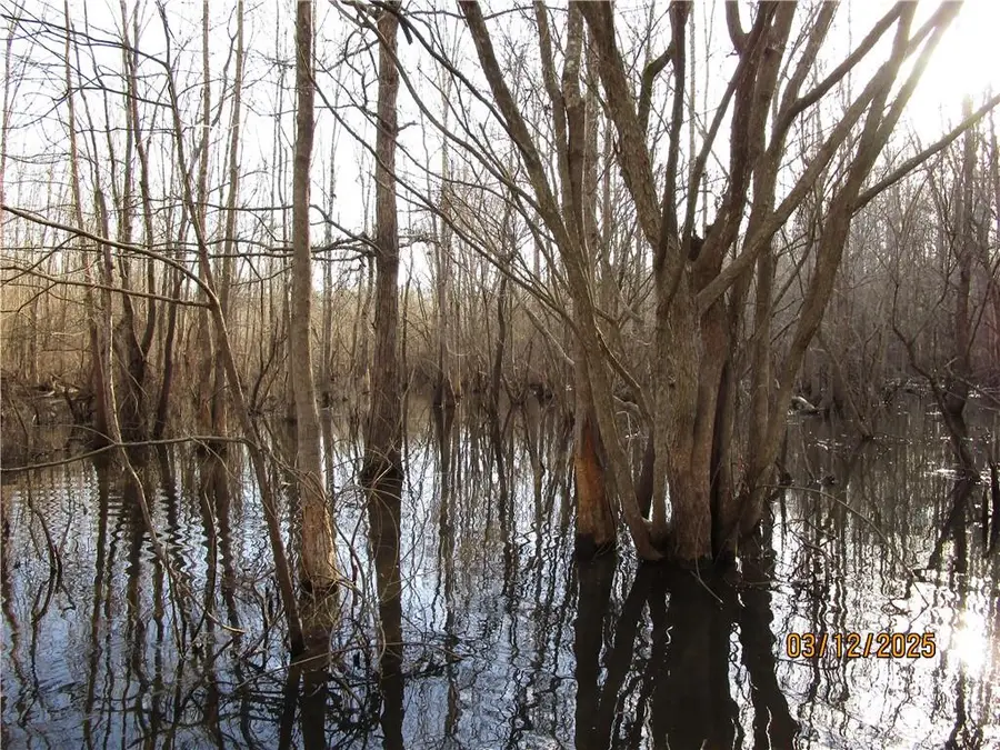 0 Obie Smith Road, Atlanta, LA 71404 - Image #2