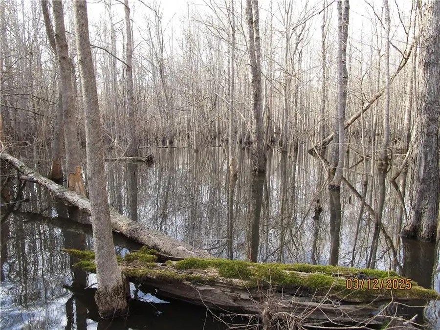 0 Obie Smith Road, Atlanta, LA 71404 - Image #3