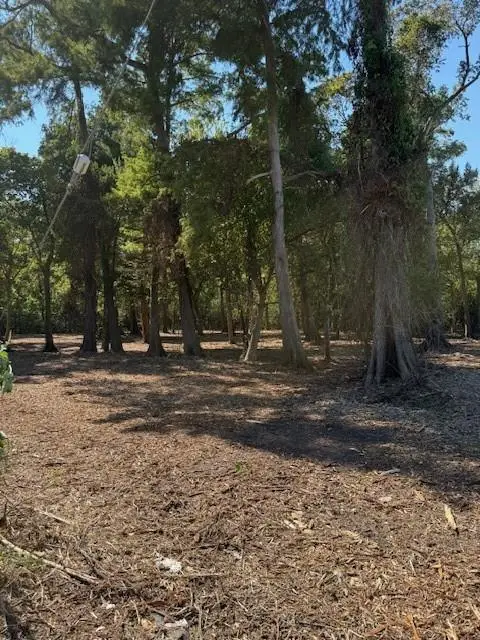 W B Expressway & Louisiana (now Drake) Avenue, Westwego, LA 70094 - Image #3