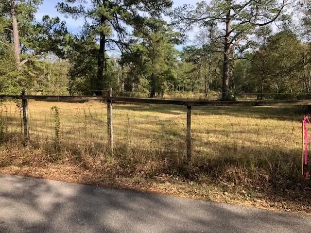 5 Acres Elliot Road, Bush, LA 70431 - Image #3