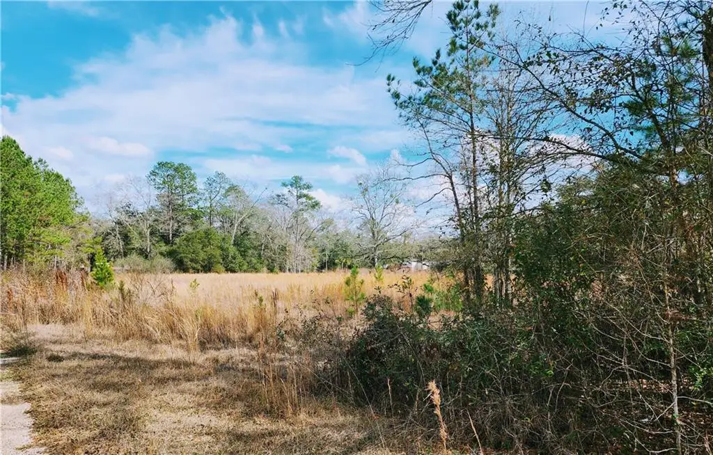 0 Highway 25, Covington, LA 70435 - #1