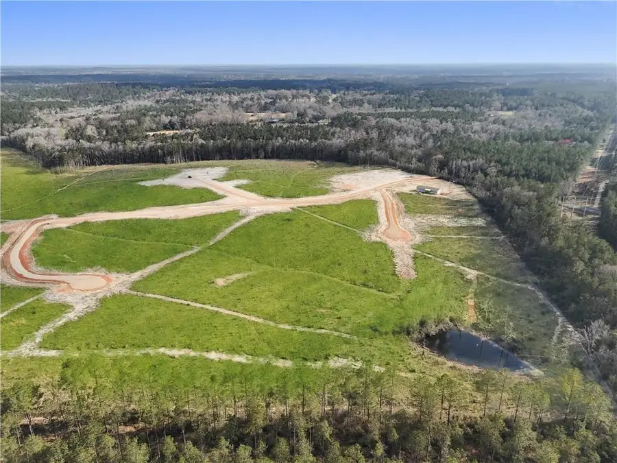 Lot 5 Highway 62 Highway, Franklinton, LA 70438 - Image #3