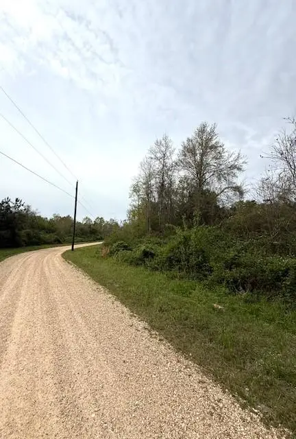 39.9AC True Light Church Road, Bogalusa, LA 70427 - Image #1