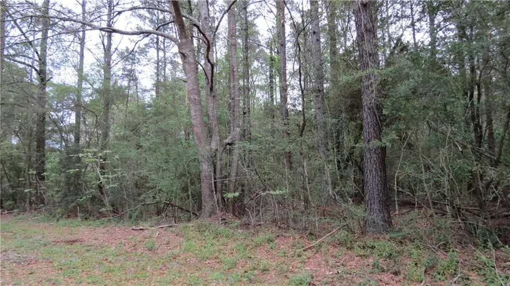 Camus Lane, Covington, LA 70435 - Image #1