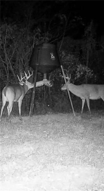 Powerline Road, Angie, LA 70426 - Image #2