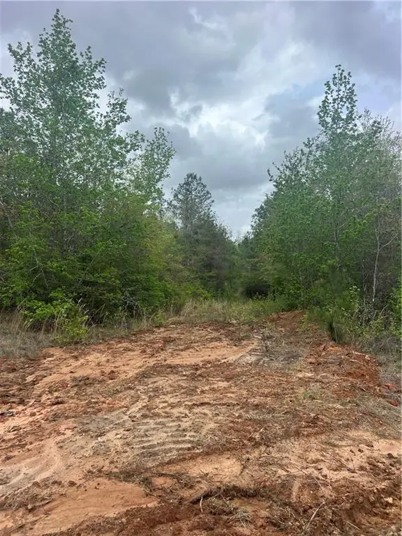 Tract 4 Scotts Path, Pollock, LA 71467 - Image #2