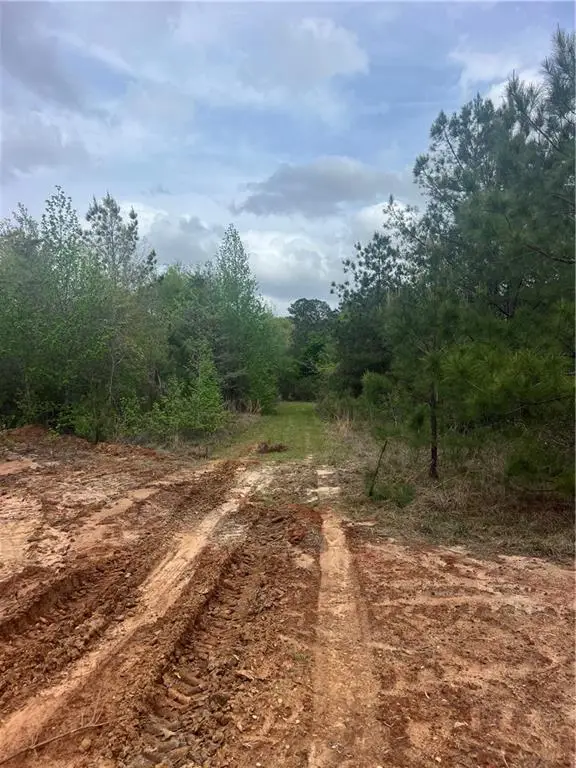 Tract 4 Scotts Path, Pollock, LA 71467 - Image #3