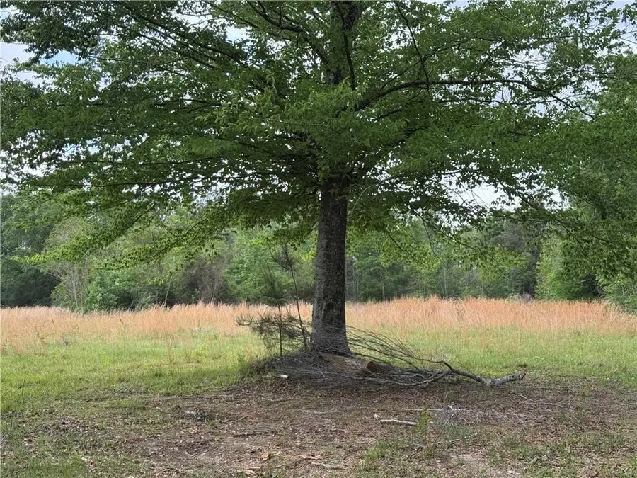 TBD G P Barlow Sr Road, Amite, LA 70422 - Image #2