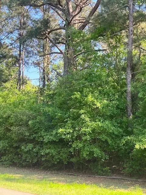 0 Raehyo Lane, Folsom, LA 70437 - Image #2