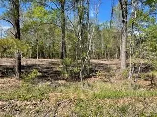 Carroll Street, Mandeville, LA 70448 - Image #2