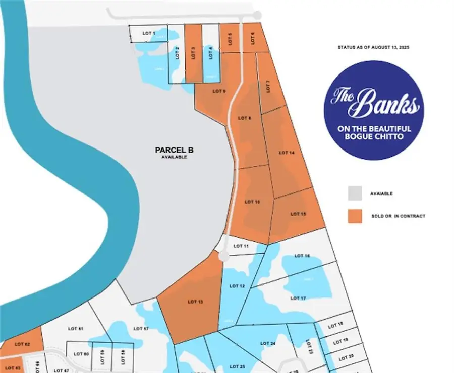 Lot 12 The Banks, Hwy 16 Highway, Franklinton, LA 70438 - Image #2