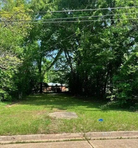 3312 Levin Street, Alexandria, LA 71301 - Image #1